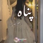 Panah by Nabeela Aziz