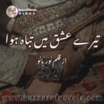 Tere Ishq Mein Tabah Huwa by Noor Bano