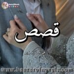 Qasas by Musfirah Zubair