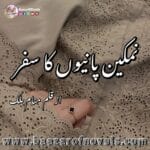Namkeen Panion Ka Safar by Munam Malik