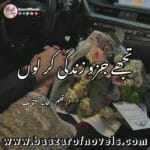Tujhe Juzwe Zindagi Kar Lon by Rehana Aftab