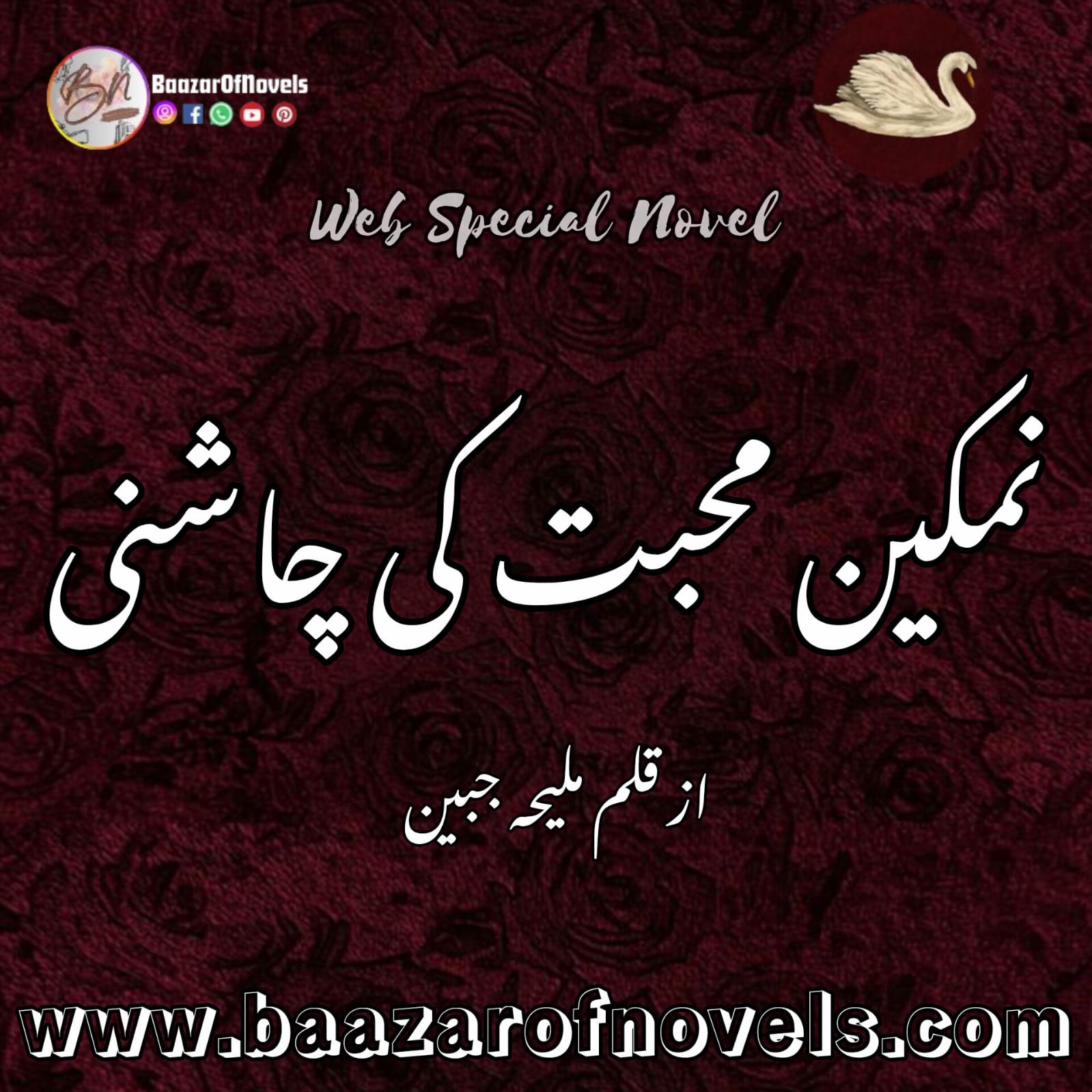Namkeen Muhabbat Ki Chaashni by Maleeha Jabeen