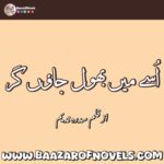 Bano by Sumaira Hameed