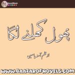 Phool Khilne Laga By Amna Yaseen