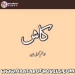 Kash by Kanwal Amin