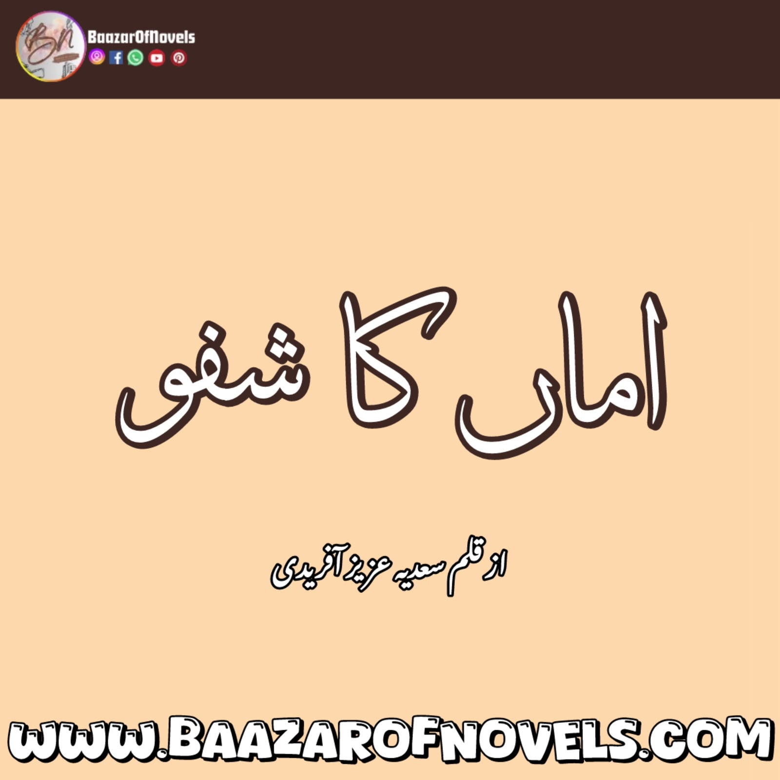 Sadia Aziz Afridi