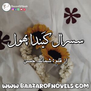 Shumaila Hassan